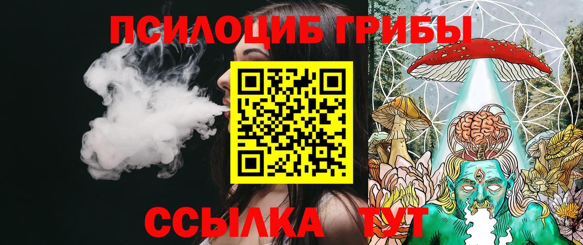 Галлюциногенные грибы Psilocybe Верхняя Салда